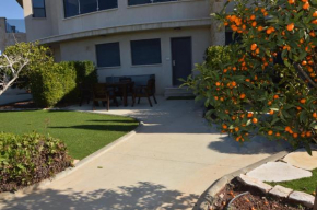 Hotels in Daliyat Al-Karmel
